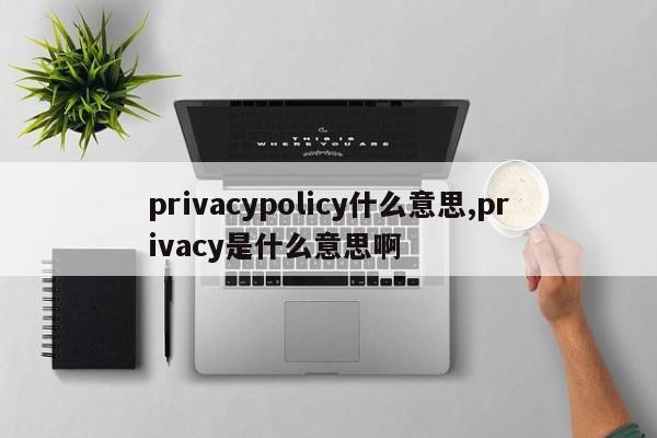 privacypolicy什么意思,privacy是什么意思啊